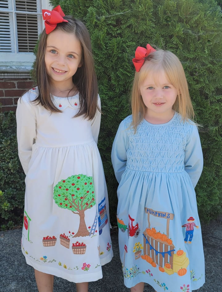 Pumpkin Patch Blue Cord Dress