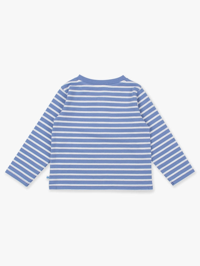 Blue Stripe Pumpkin Henley