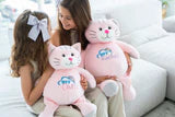 Embroider Buddy -Cat Squishy