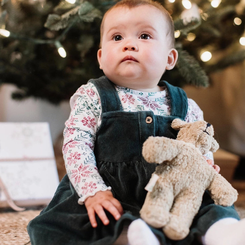 Poinsettia Long Tee & Dress Set